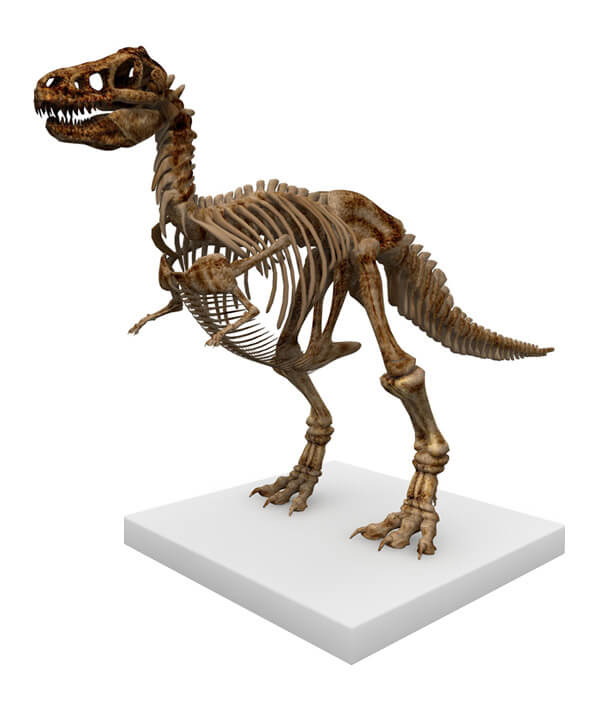 dino-skeleton