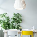 Plants help make your house more nice and beautiful